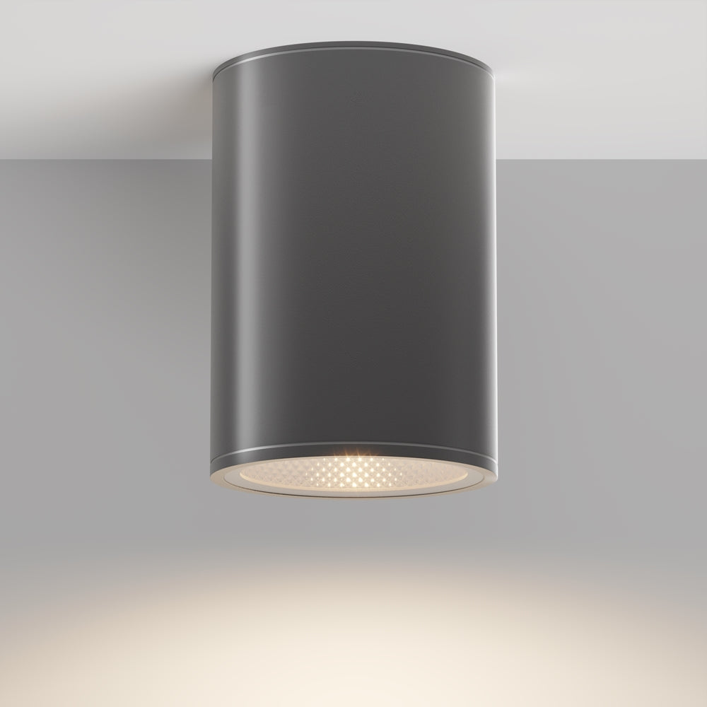 Bar Outdoor Ceiling Spotlight- Graphite Finish