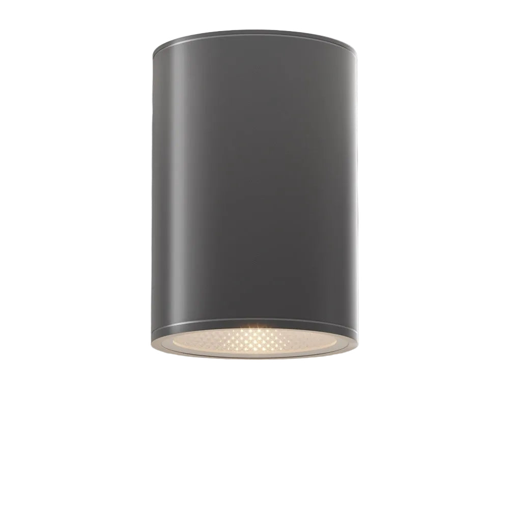Bar Outdoor Ceiling Spotlight- Graphite Finish