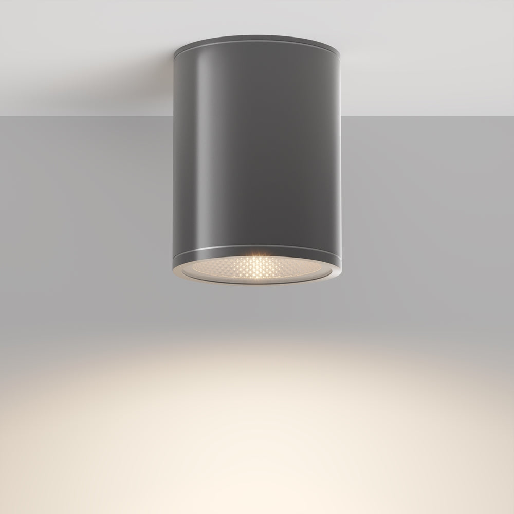 Bar Outdoor Ceiling Spotlight- Graphite Finish
