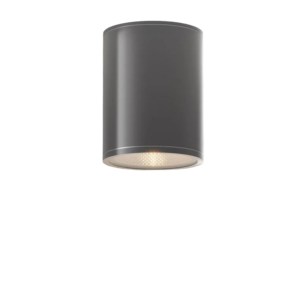 Bar Outdoor Ceiling Spotlight- Graphite Finish
