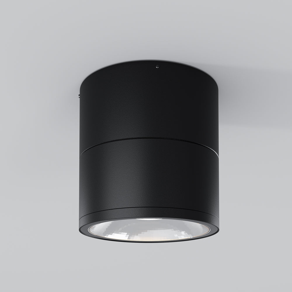 Spin Outdoor Ceiling Spotlight