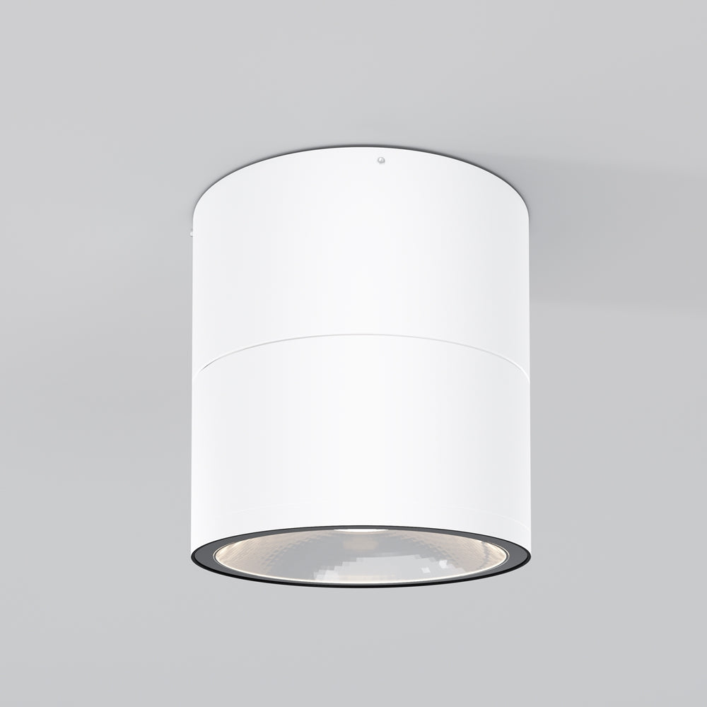 Spin Outdoor Ceiling Spotlight