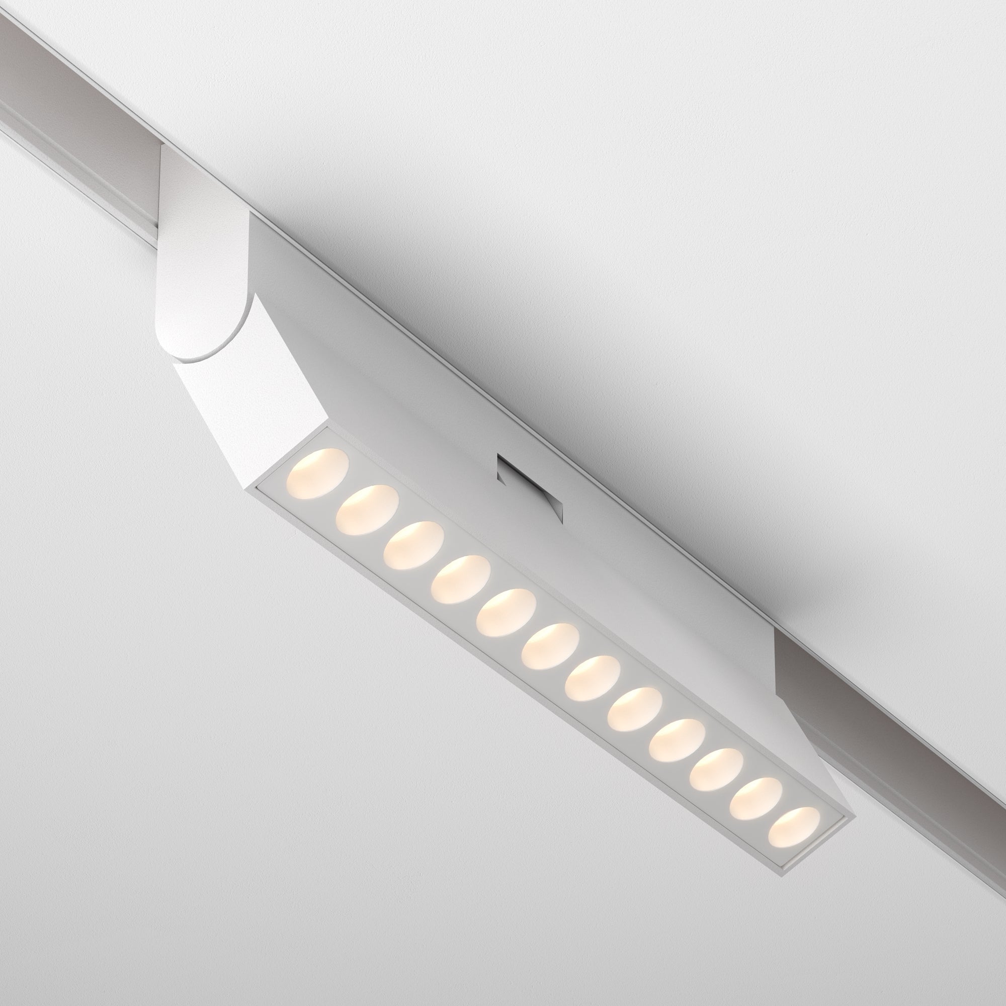 Track luminaire Points rot Exility 2700-6000K 12W 36° Dim Dali1