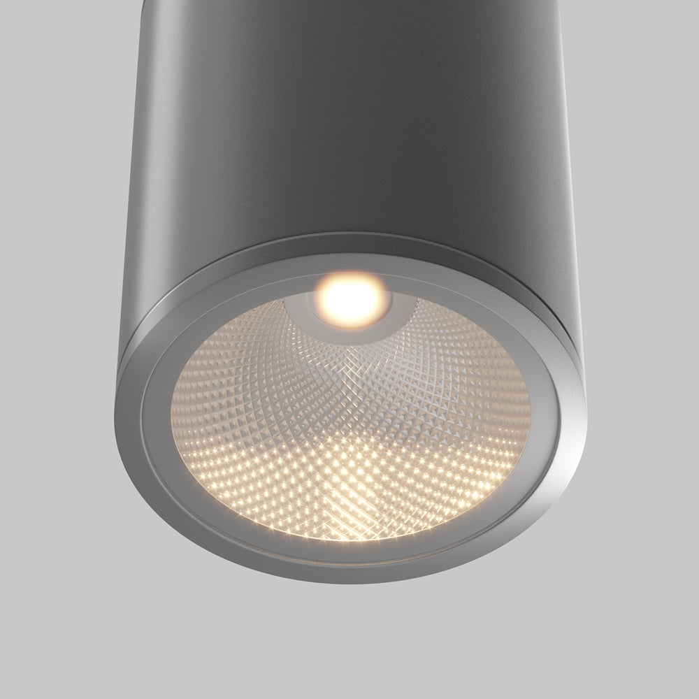 Bar Outdoor Ceiling Spotlight- Graphite Finish