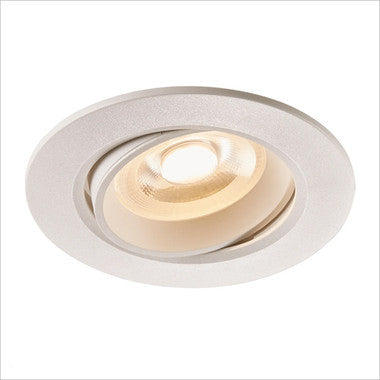 Roar Downlight- Black/ White Finish