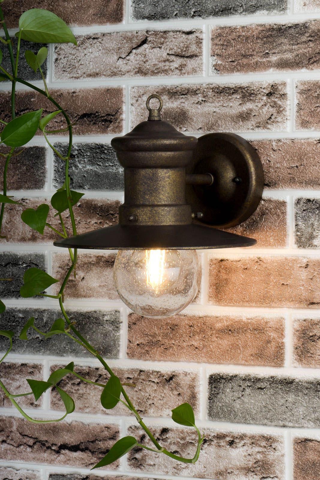 Sedgewick 1Lt Outdoor Wall Light - Black/Bronze