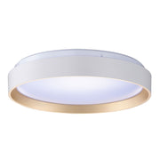 Medda Surface Fitting Integrated LED White & Gold Promotional Offer
