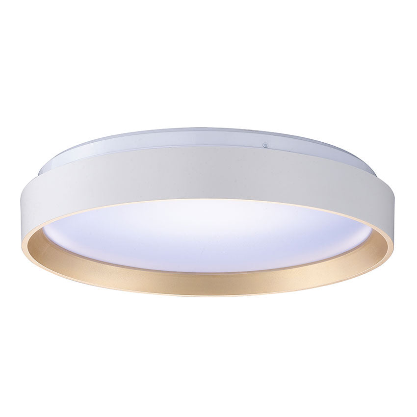 Medda Surface Fitting Integrated LED White & Gold Promotional Offer