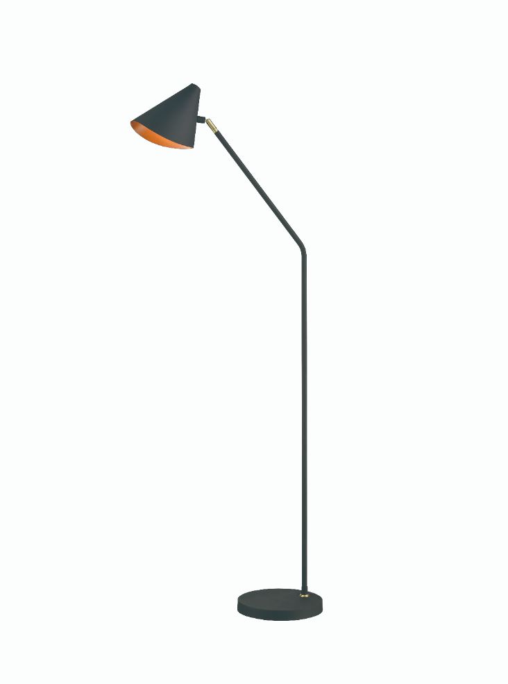 Luminance Floor Lamp with Adjustable Head