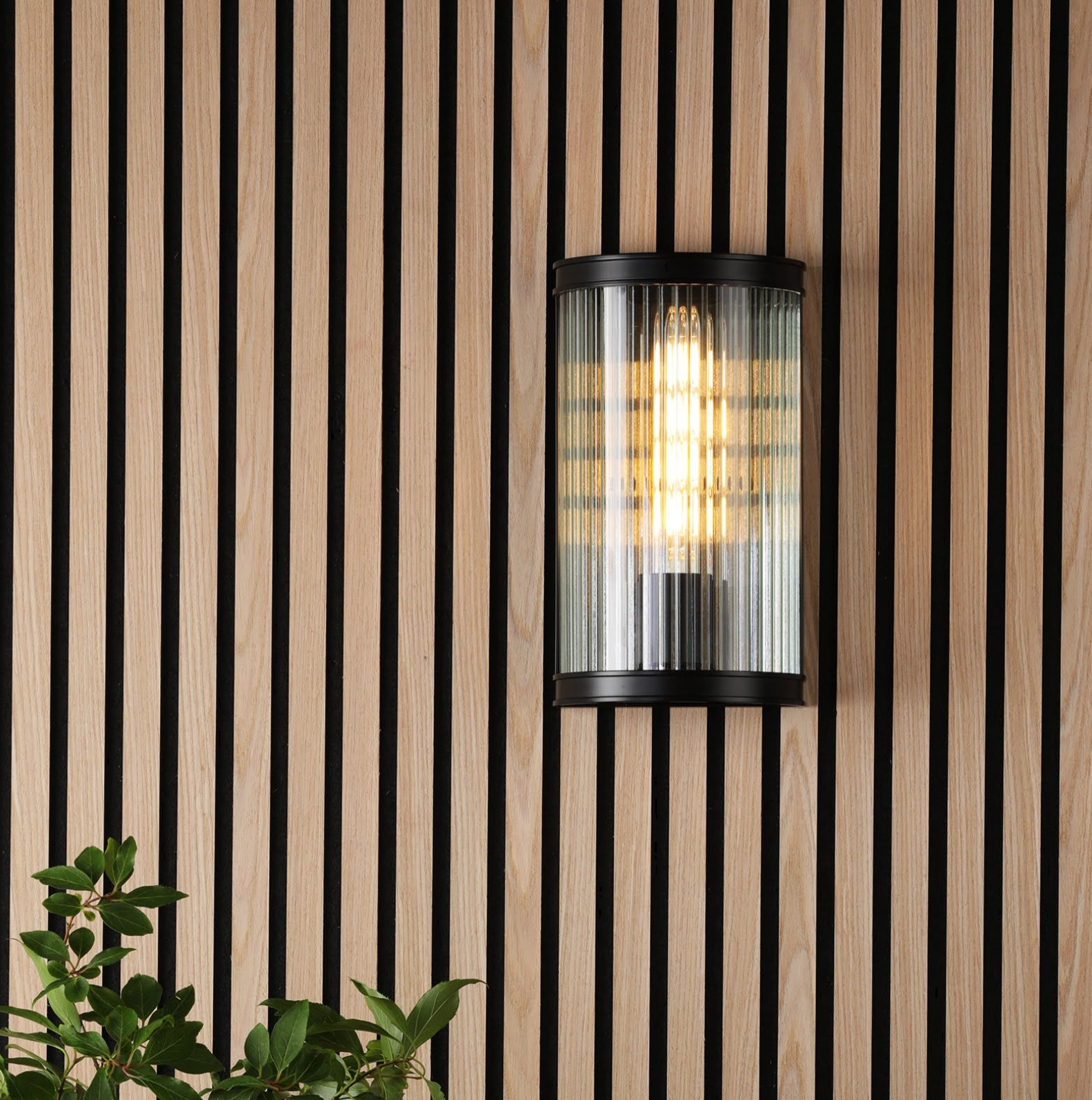 Bianka Wall Light- Black/ Bronze Finish