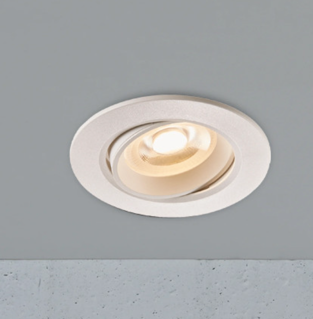 Roar Downlight- Black/ White Finish