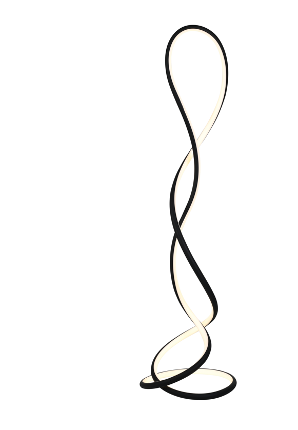Evania Floor Lamp - Matt Black Finish