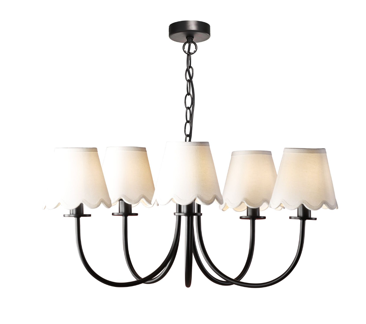Becca 5 Light Ceiling Light- Matt Black With Different Shades