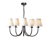 Becca 5 Light Ceiling Light- Matt Black With Different Shades