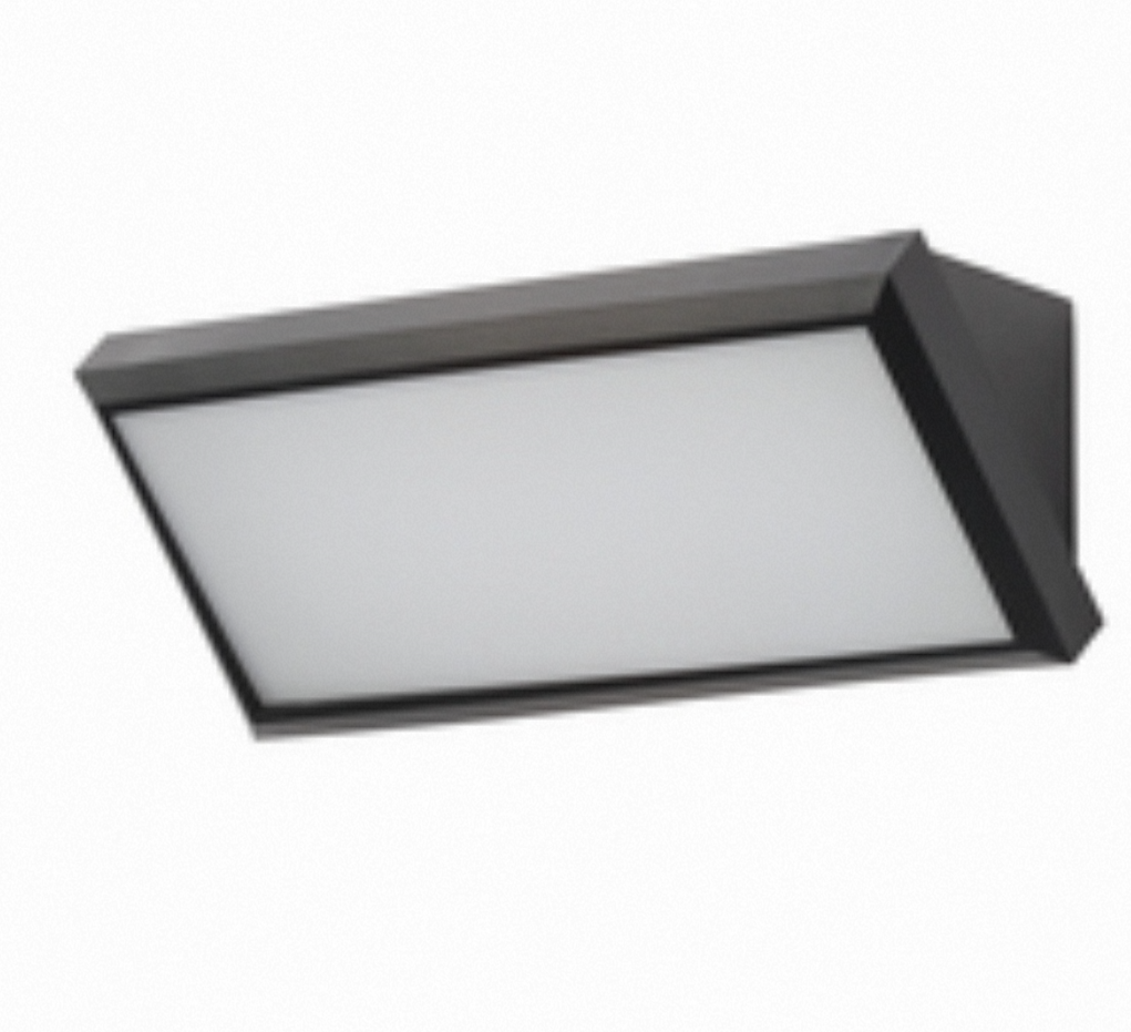 Luton Outdoor LED Wedge Design Wall Light-  Black