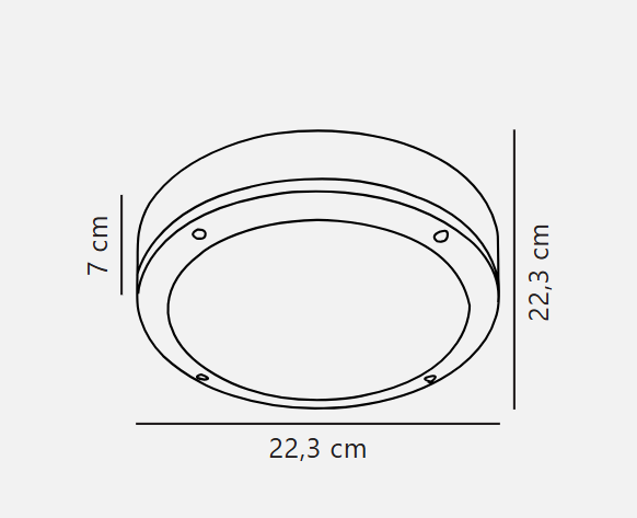 Desi 22'/28' Ceiling Light