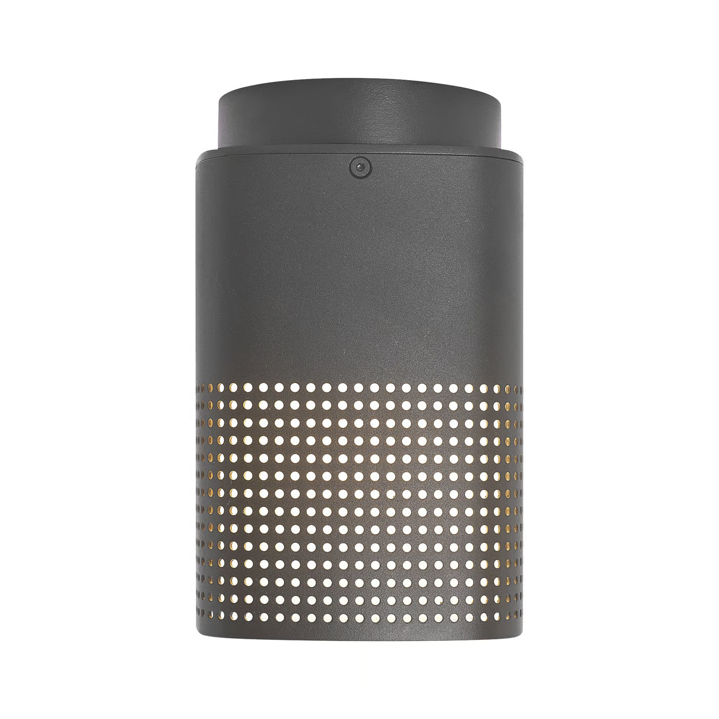 Sidara Outdoor Ceiling Light- Black/ Brown/ Anthracite Finishes