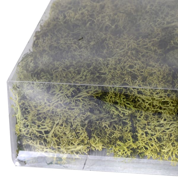 Large Bag of Real Green Moss
