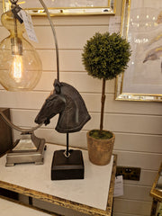 Black Horse Head