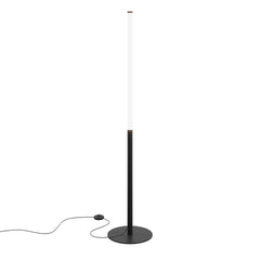 Ray LED Floor Lamp - Black Finish