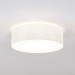 Cambria 580 Ceiling Light- White/Putty Finishes