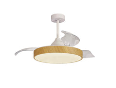 Alaska LED Fan Light W/ App & Remote Control