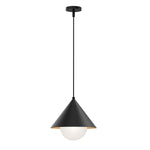 Alora Mood Remyck 1 lt Pendant - Brushed Gold/ Black