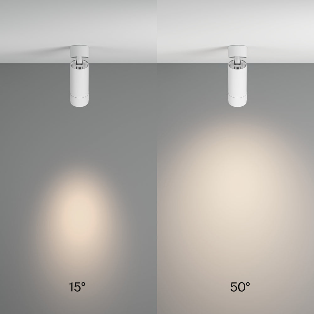 Zoom Focus Ceiling Light- Black & White Finishes