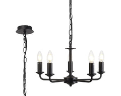 Banyan 5 Light Multi Arm Pendant Without Shade Matt Black