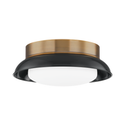 Arnie 1Lt Flush Mount