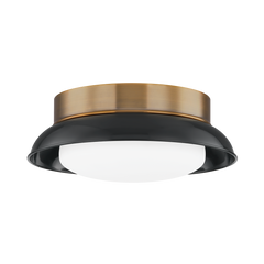 Arnie 1Lt Flush Mount