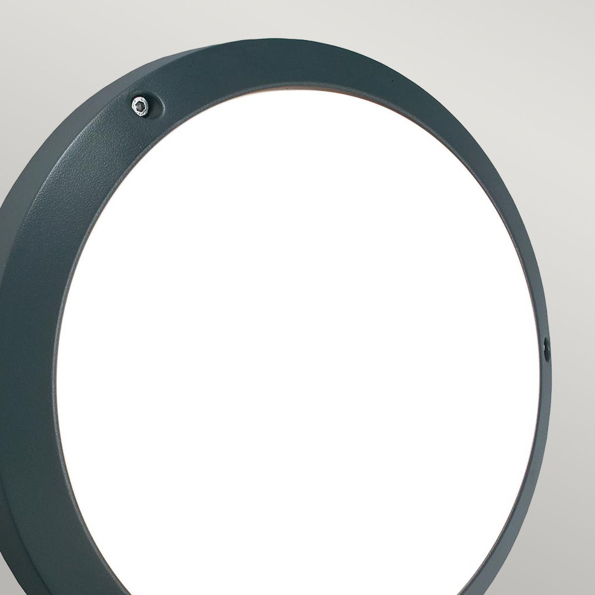 Bornholm LED Wall/Ceiling Light - Graphite