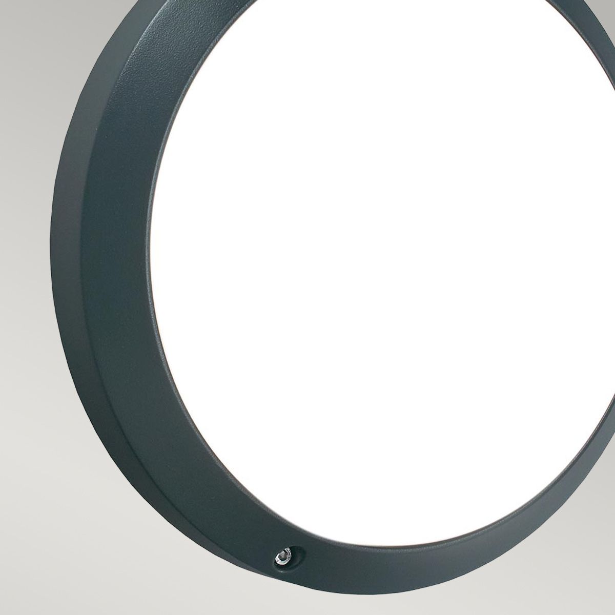 Bornholm LED Wall/Ceiling Light - Graphite