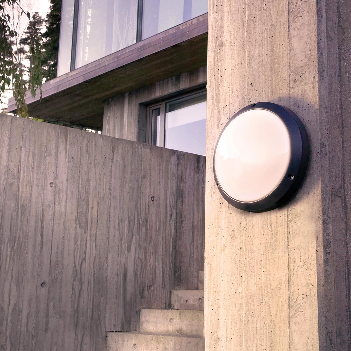 Bornholm LED Wall/Ceiling Light - Graphite