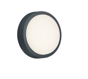Breg Anthracite IP54 Outdoor LED Wall Light