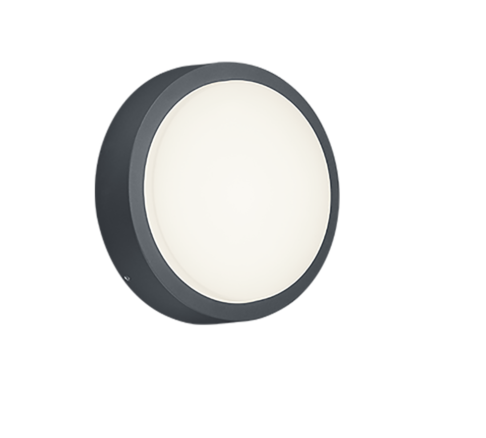 Breg Anthracite IP54 Outdoor LED Wall Light
