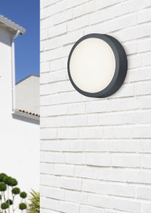 Breg Anthracite IP54 Outdoor LED Wall Light