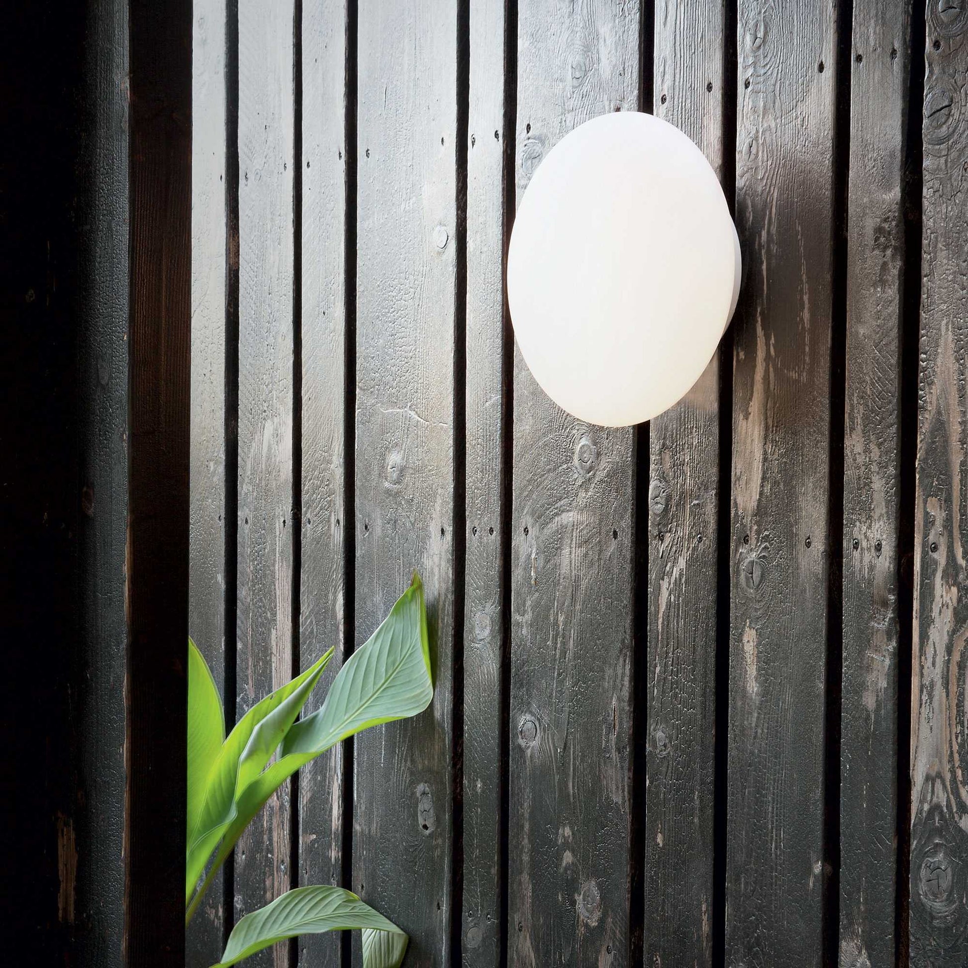 Bubble Wall Light - White Finish - Cusack Lighting