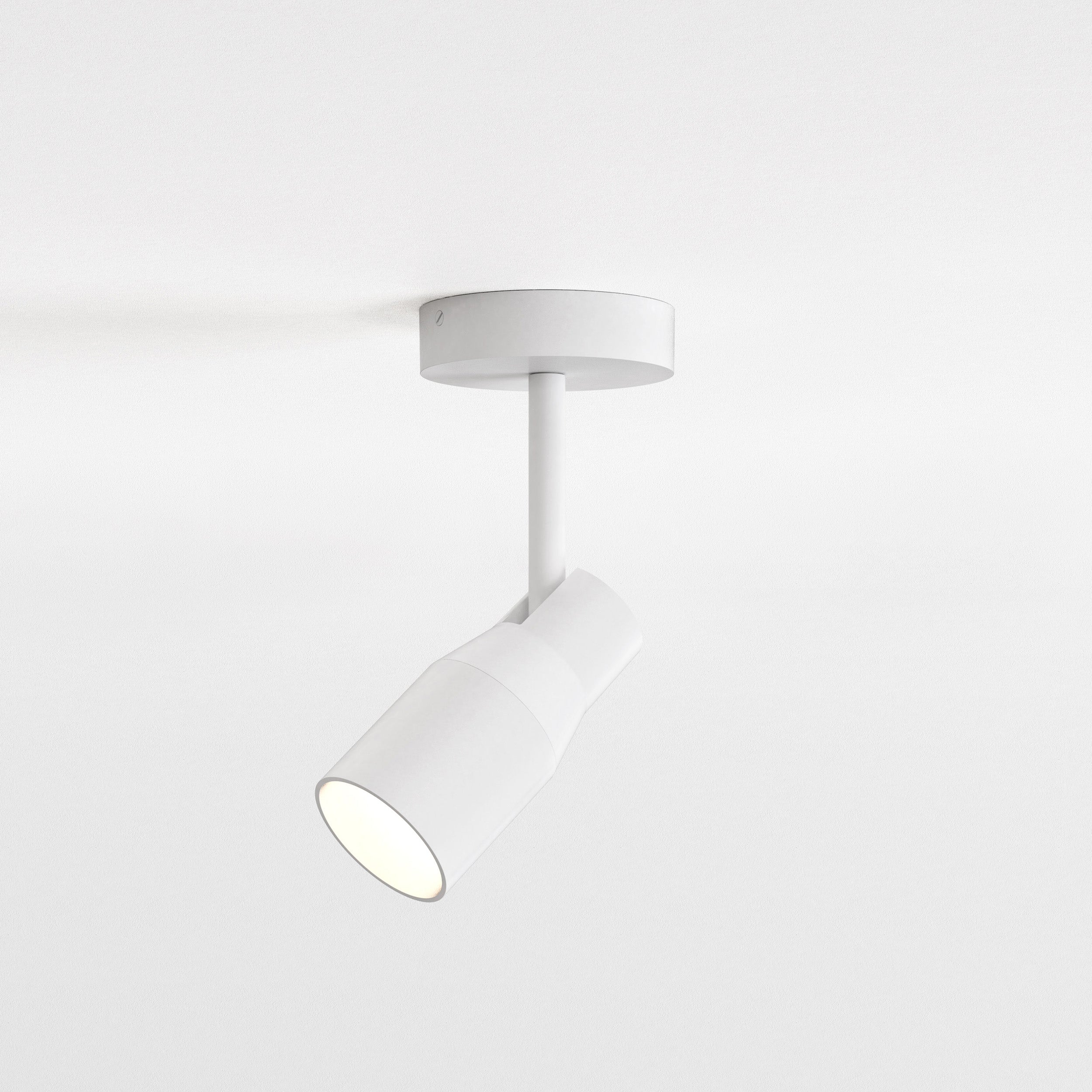 Apollo Single Spotlight IP20 - Black/White