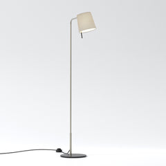 Mitsu Floor Lamp- Matt Nickel/ Bronze