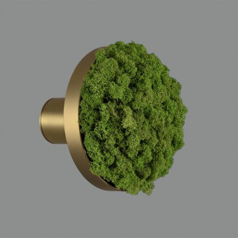 Chamaleon Wall Light- Various Finishes