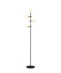 Cellar Floor Lamp 4 Light, Replaceable 5W LEDs, 3000K, Black