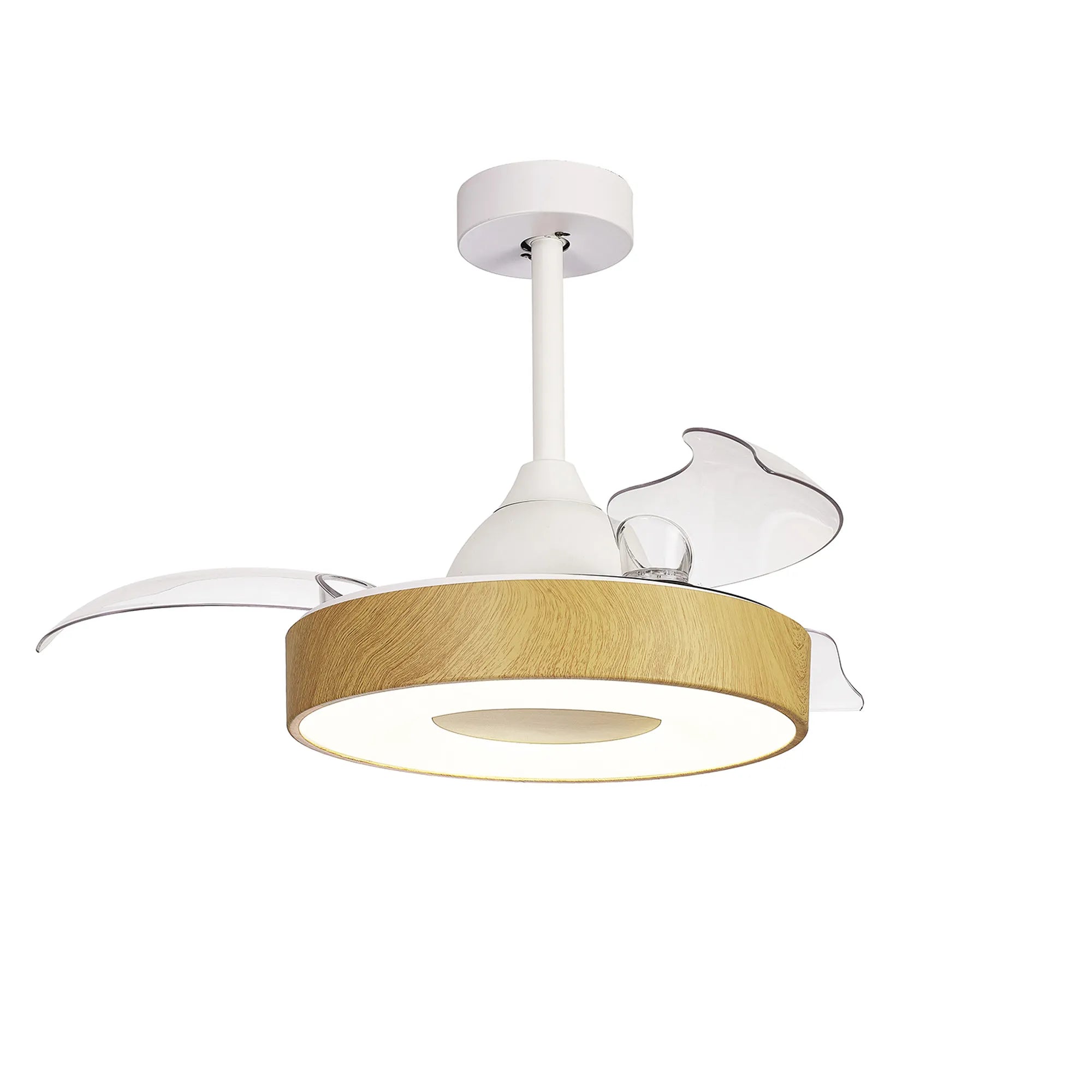 Coin LED Fan Light W/ App & Remote Control