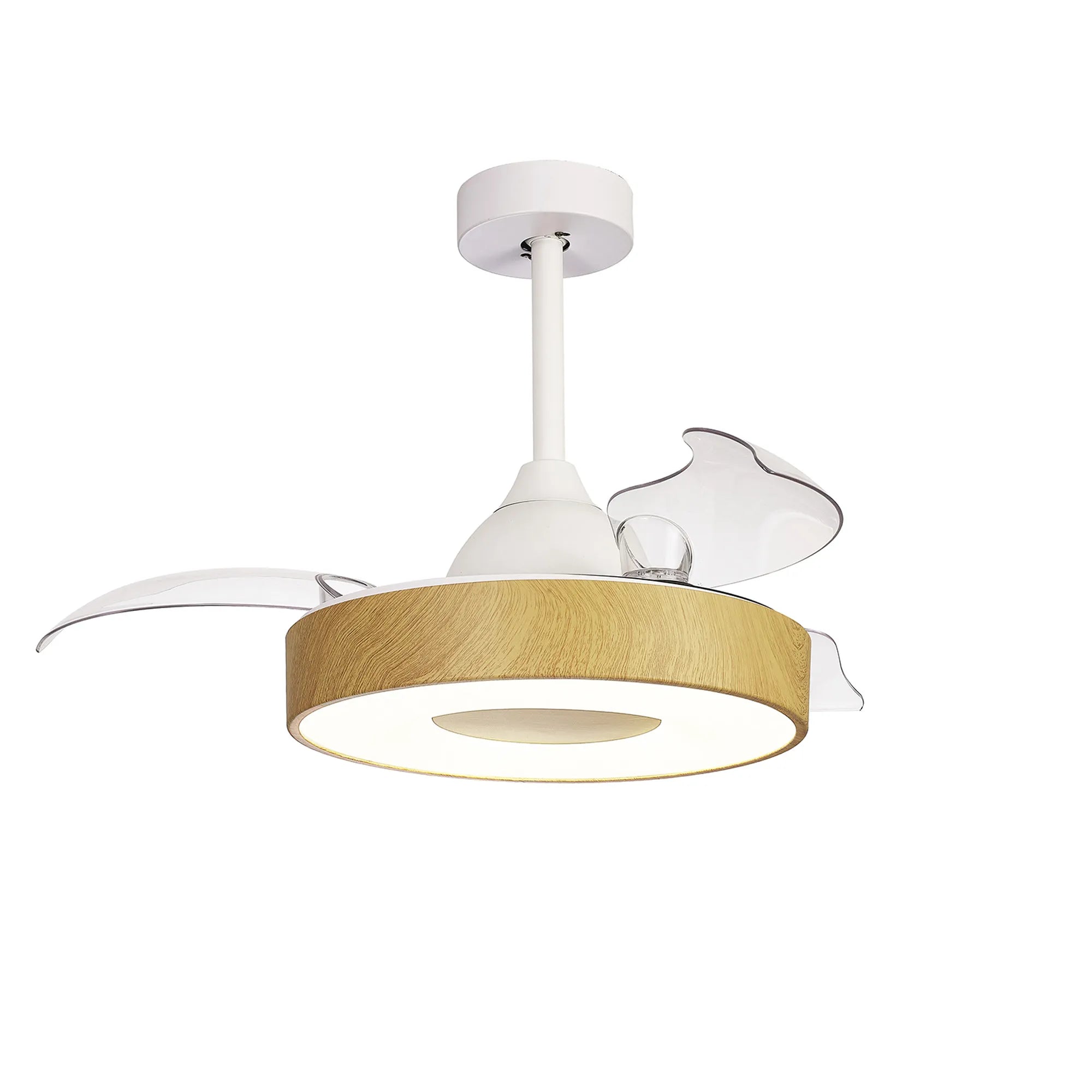 Coin LED Fan Light W/ App & Remote Control