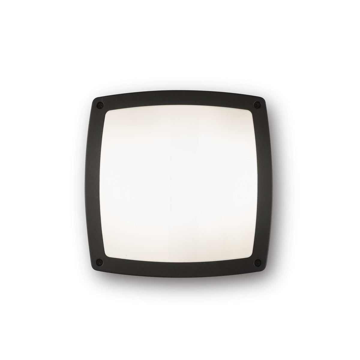 Cometa Outdoor Wall Light- Anthracite/Black Finish - Cusack Lighting