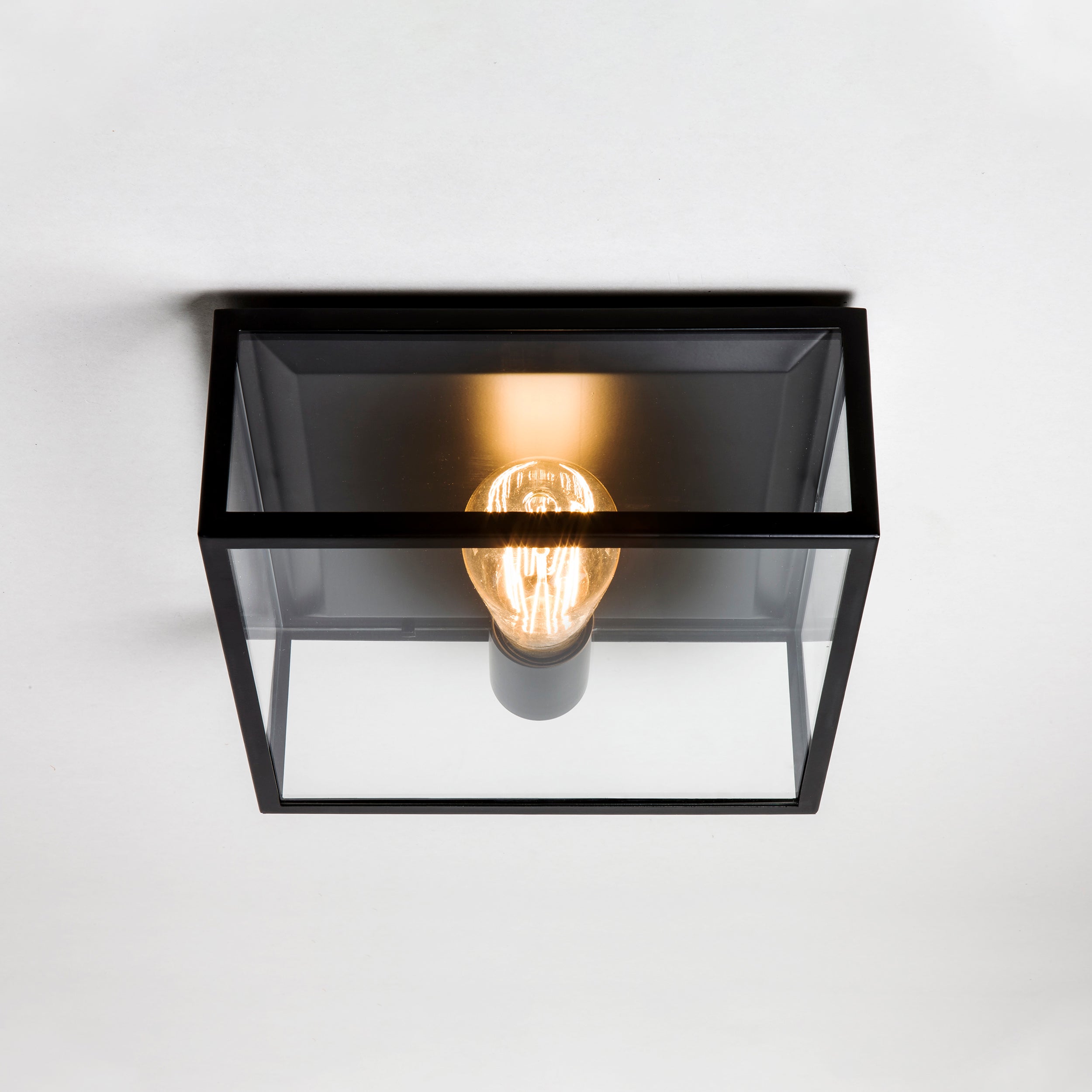 Bronte Outdoor Ceiling Light