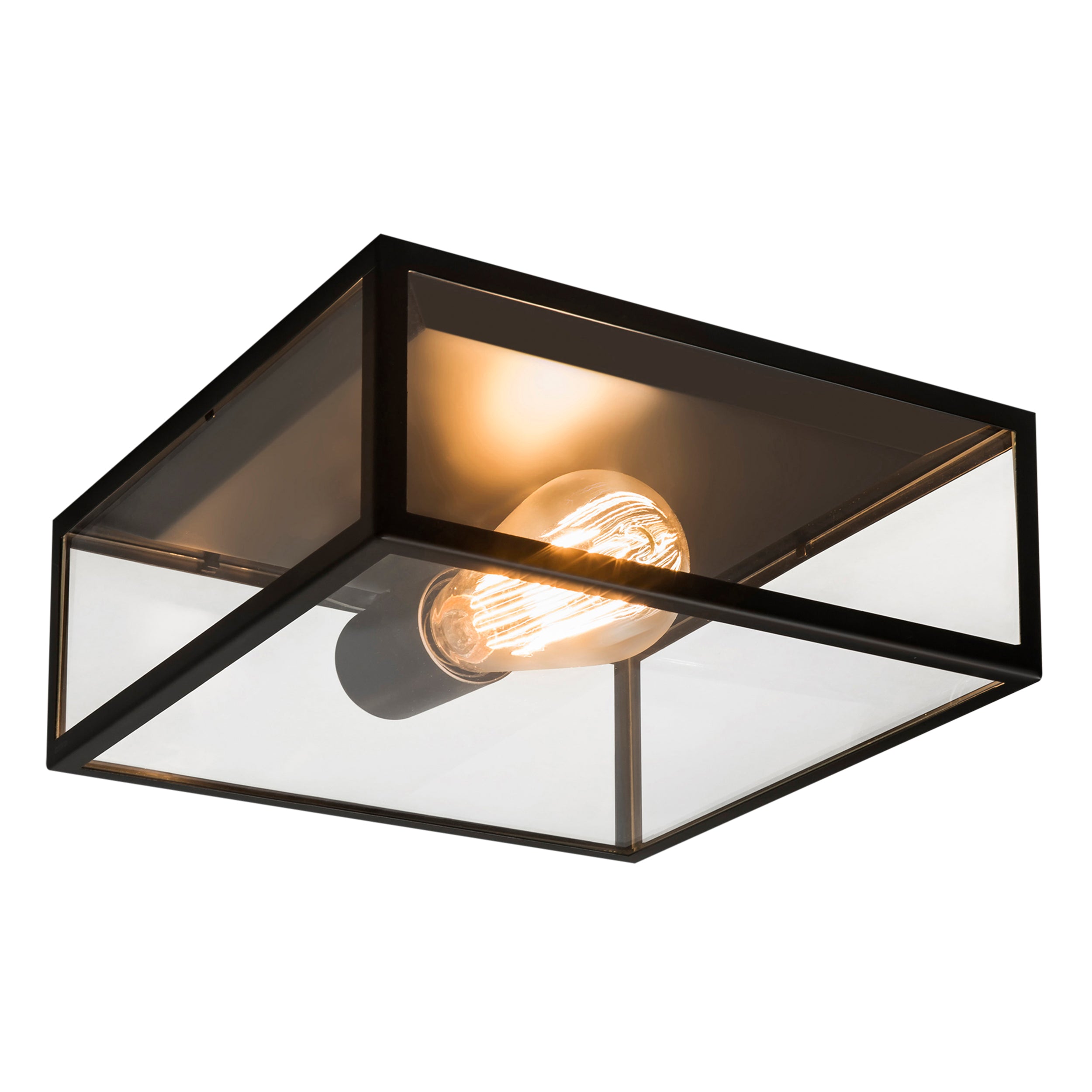 Bronte Outdoor Ceiling Light