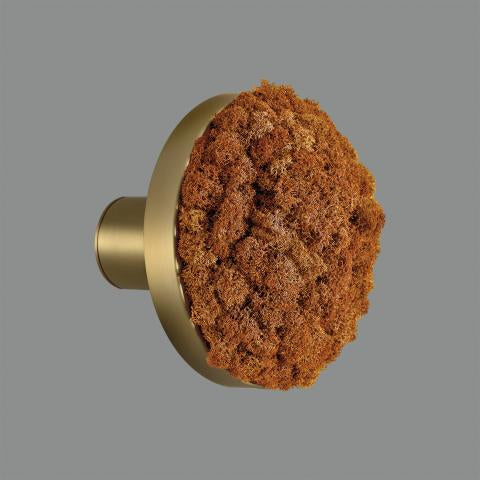 Chamaleon Wall Light- Various Finishes