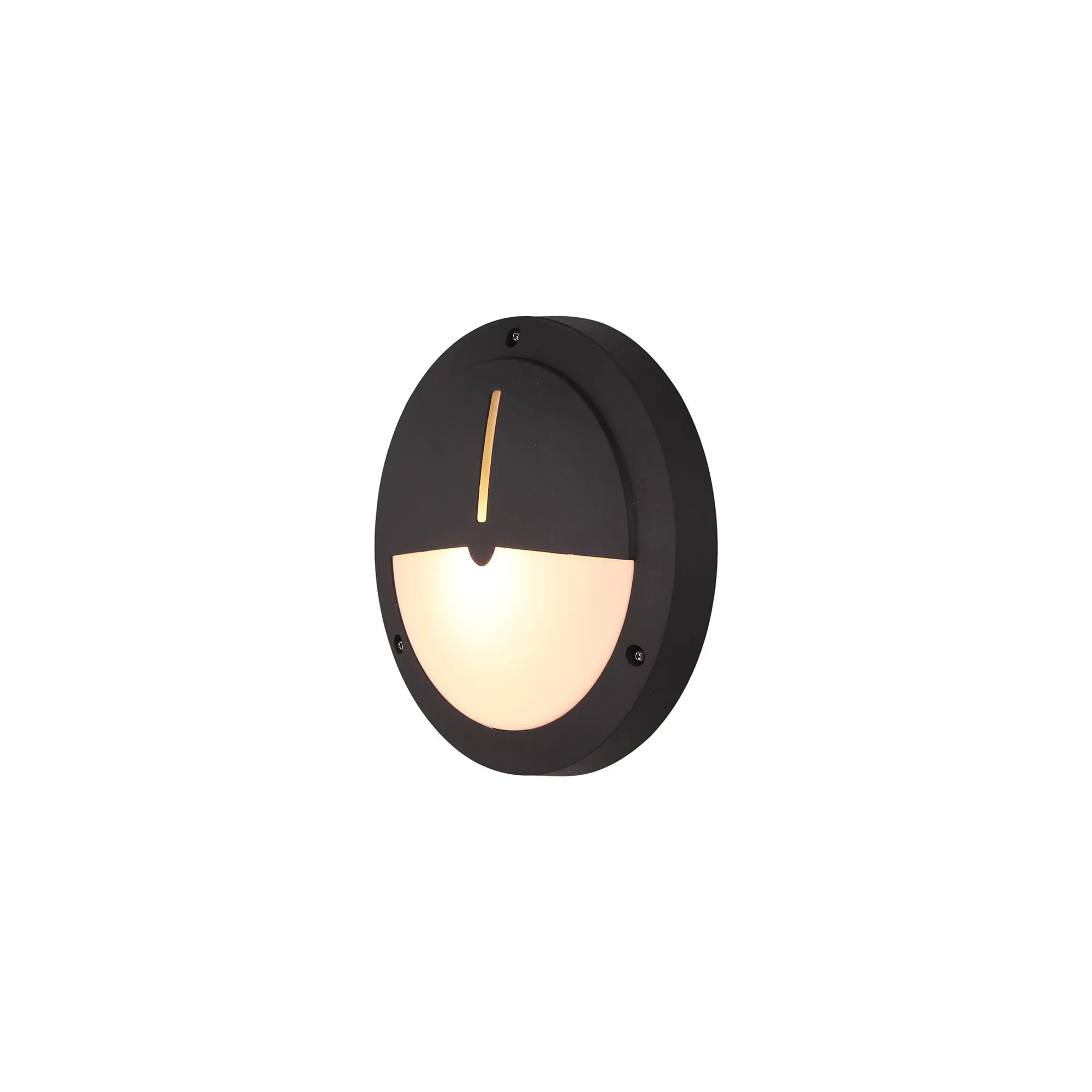 Daru Flush Wall Lamp IP54 - Black/White