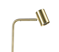 Diego 1Lt Floor Task/Reading Lamp - Satin Brass & Chrome